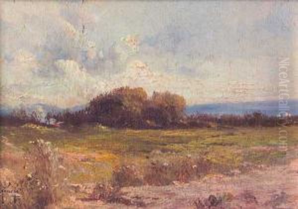 Paisaje De Campo - view 1