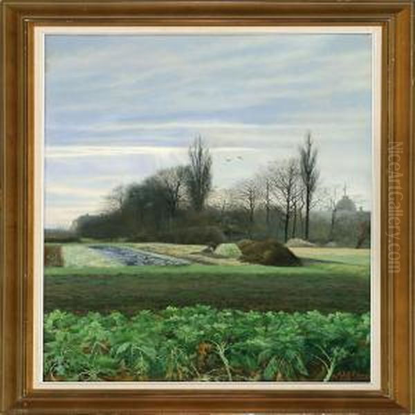 A Garden In November - view 1