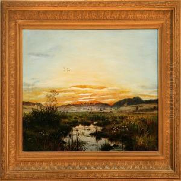 Overlooking A Meadow Landscape At Sunset - view 1
