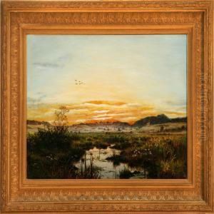 Overlooking A Meadow Landscape At Sunset