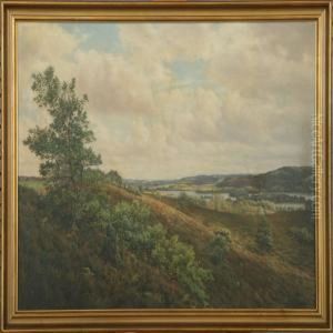 Scenery From Silkeborg