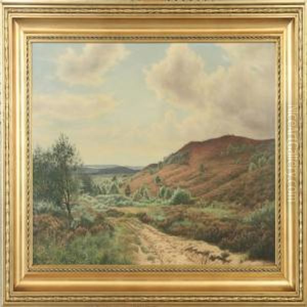Flowering Heather Landscape - view 1