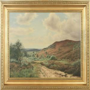 Flowering Heather Landscape