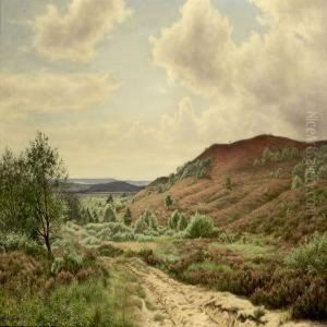 Flowering Heatherlandscape