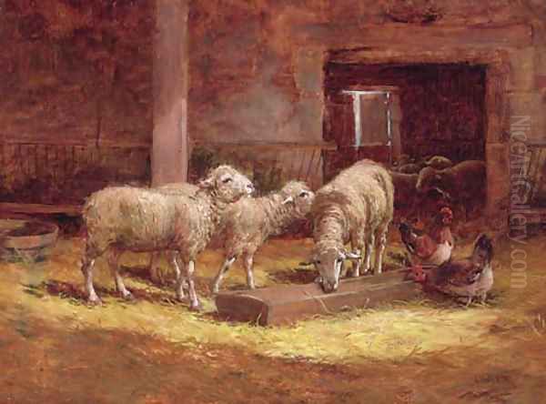 Sheep and chickens in a barn - view 1