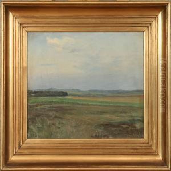 Landscape - view 1