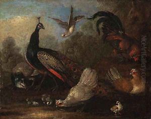 A Peacock, a peahen, chickens and a dove in a landscape by Marmaduke Cradock