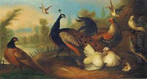 A peacock and other birds in an ornamental garden by Marmaduke Cradock