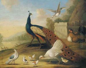 A peacock, doves and chickens in a wooded river landscape
