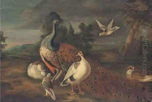A peacock, woodpigeons and other fowl in an extensive landscape A peacock, woodpigeons and other fowl in an extensive landscape