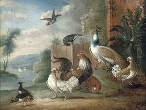 A peacock, a cockeral, hens and pigeons in a wooded clearing