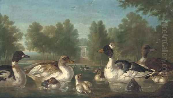 Ducks on a pond with a pavilion beyond - view 1