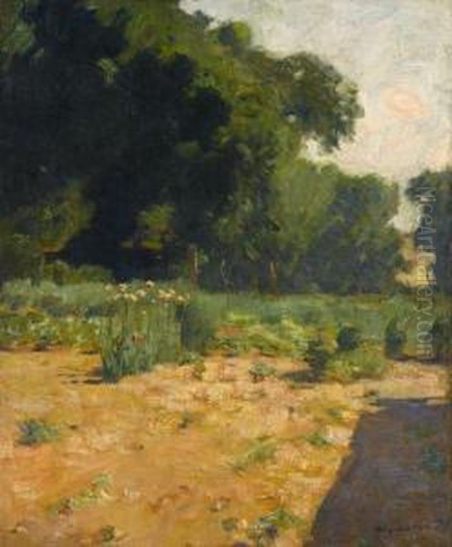 Midsummer - view 1