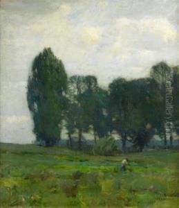 The Green Swale