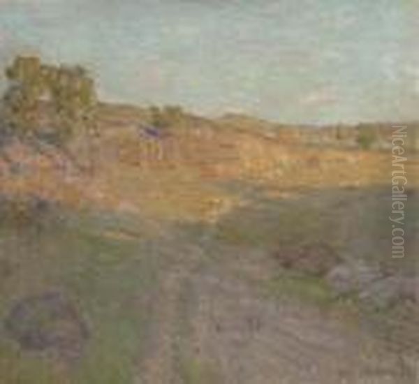 Sunlight And Shadow - view 1
