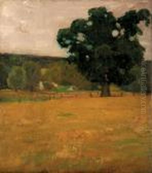 Tree In A Landscape - view 1