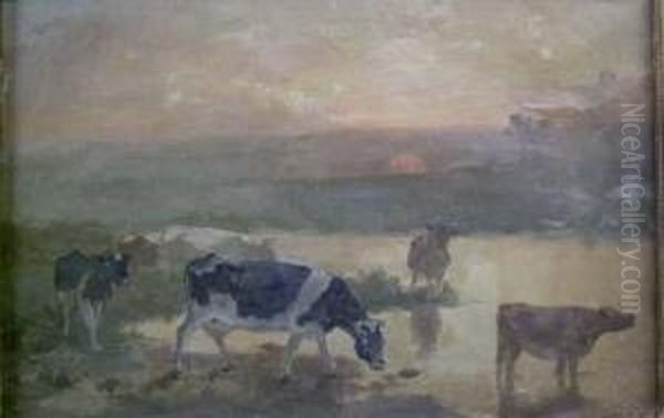 Cows Watering At Twilight - view 1