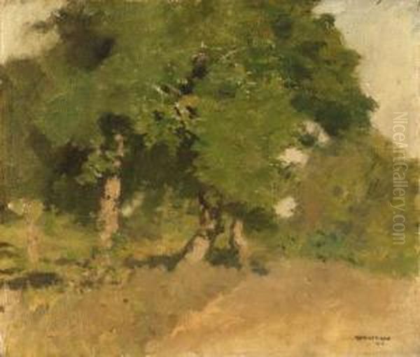 Mid Summer - view 1