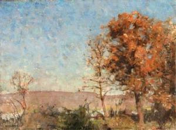 Autumn Landscape - view 1