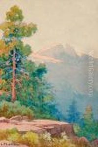 Mountainous Landscape