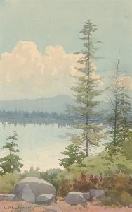 Pine Trees On The Lake Shore