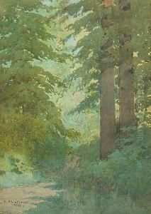 Scattered Sunlight In A Forest Interior by Lorenzo Palmer Latimer