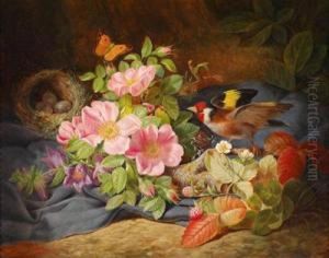Blumenstuck Am Waldboden Mit Vogelnest