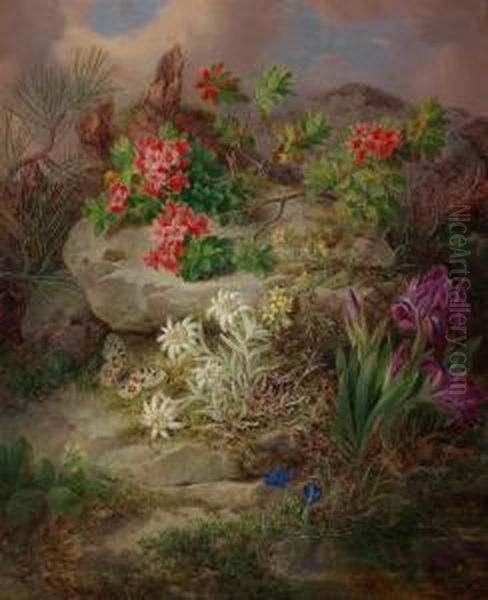 Fiori Alpini Con Farfalla - view 1