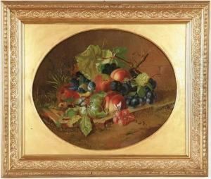 Still Life With Fruit, Butterfly And Bird