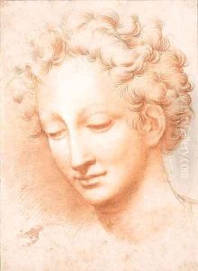 The head of a man by Antonio Campi