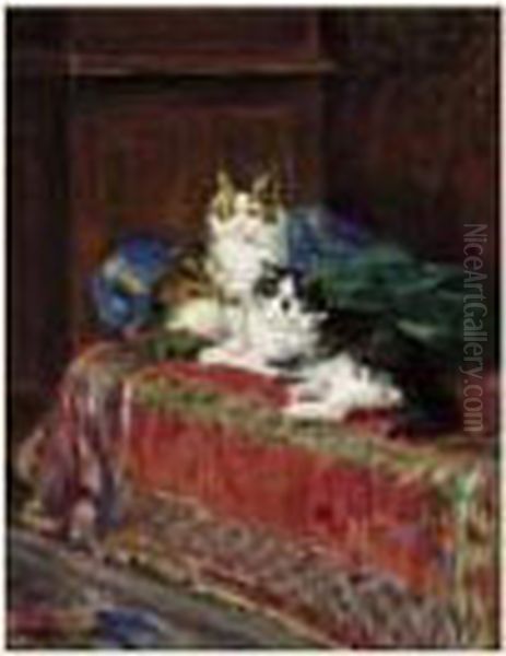 Chatons - view 1