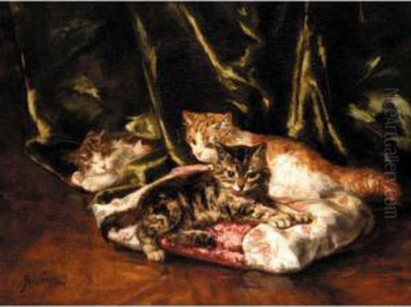 Three Kittens - view 1