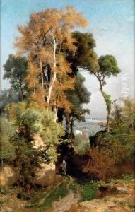 Paysage D'iran