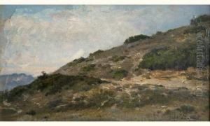 Paysage Paysage