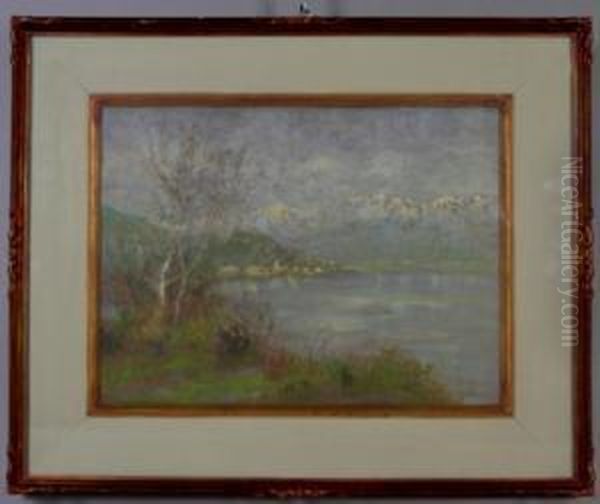 Lago Con Paese E Montagne Sullo Sfondo - view 1