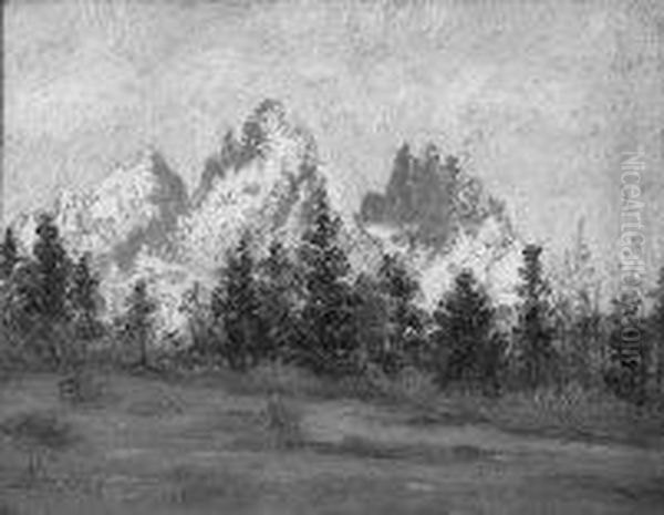 Cortina D Ampezzo - Monte Cristallo - view 1