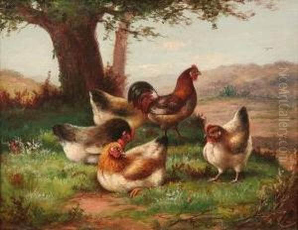 Five Hens - view 1