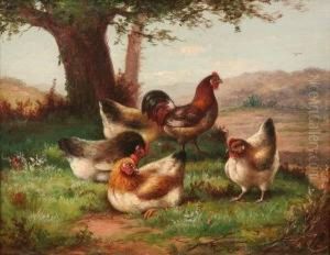 Five Hens