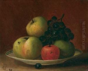 Apples In A Dish With Fly
