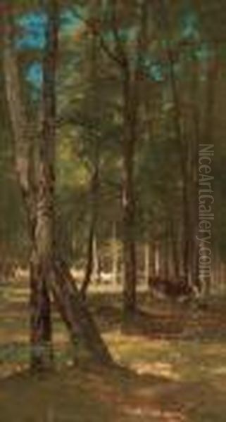 Weidende Kuhe Im Wald - view 1