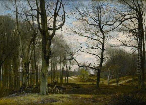 Harde En Foret De Fontainebleau - view 1