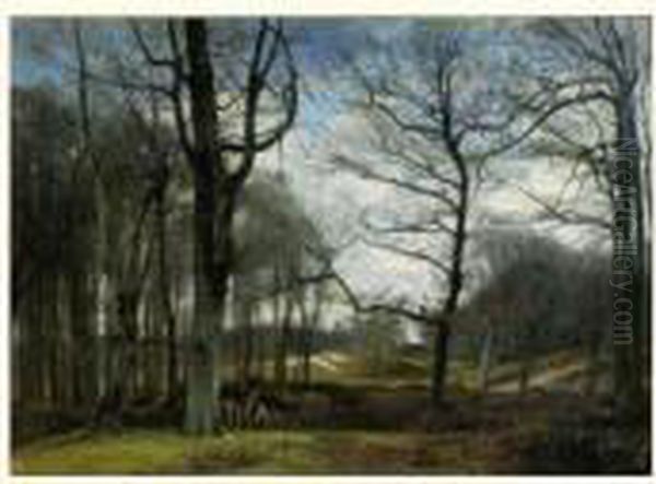 Biches Dans La Foret De Fontainebleau - view 1