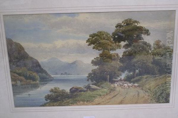 Sheep On A Lakeside Path - view 1
