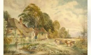 Paysage Campagnard