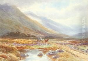Near Barmouth, North Wales