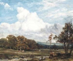 Cattle Grazing In A Landscape In Wharfdale, Yorkshire