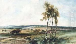 An Extensive Summer Landscape by Cecil Gordon Lawson