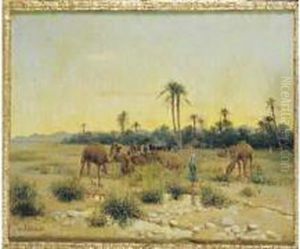 L'oasis