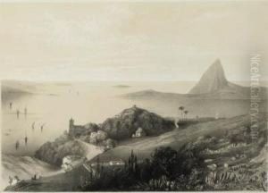 Panoramic Views Of Rio De Janeiro by John Le Capelain
