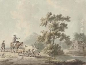 Droving Cattle